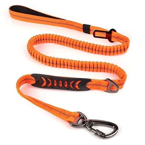 Starke Bungee Hundeleine