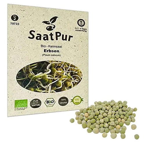Erbsen BIO Keimsprossen von SaatPur - Sprossen Keimsaat - 90g