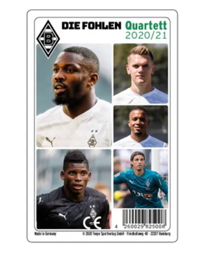 ASS Altenburger Spiel 22182461 - Borussia Mönchengladbach Quartett, spannendes Familienspiel für Fußballfans ab 4 Jahren