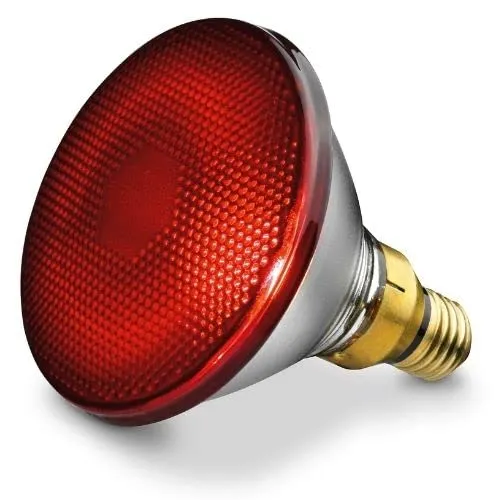 Beurer FÜR IL 21 UND SIL16 150W Ersatz-Infrarotlampe