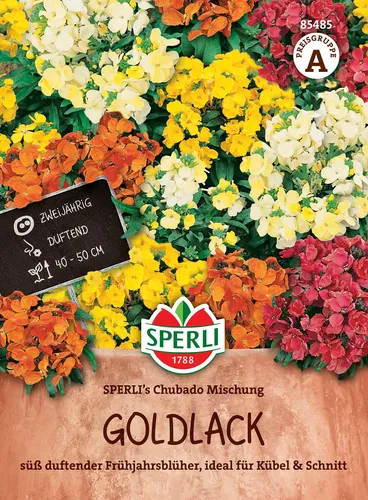 Goldlack, Sperling's Chupado Mischung von Mein schöner Garten DE