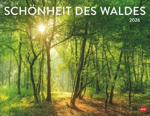 Schönheit des Waldes Posterkalender 2026 - Landschafts-Kalender im Großformat 44 x 34 cm, bringt Ruhe und Gelassenheit in Ihr Zuhause und lädt zu einer mystischen Reise durch die Welt der Bäume ein.