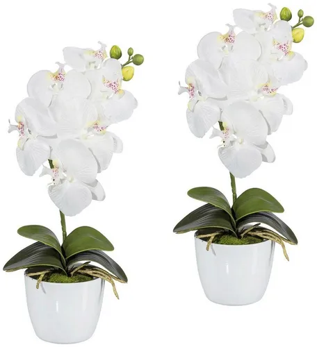 Kunstpflanze Orchidee Phalaenopsis Orchidee, Creativ green, Höhe 40 cm, im Keramiktopf
