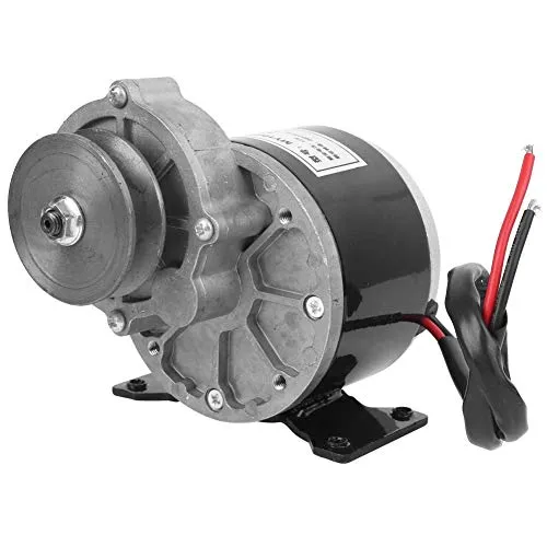 12V 250W Elektromotor mit Getriebe für Elektrofahrzeuge