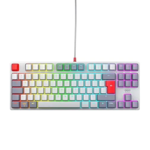 CHERRY XTRFY K4V2 TKL Gaming-Tastatur - Kabelgebundene Tenkeyless Gaming-Tastatur mit RGB-Beleuchtung und CHERRY MX2A RED Switches für präzises Spielen und mehr Platz auf dem Schreibtisch.