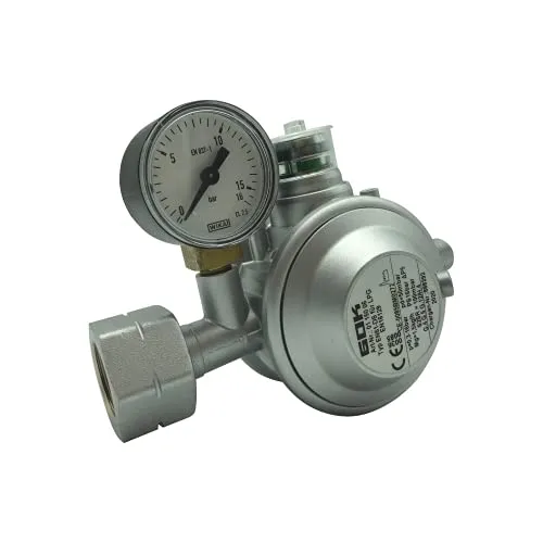 GOK Gewerberegler 50 mbar mit Manometer von GOK