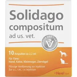 Solidago compositum ad us. vet. - Homöopathisches Arzneimittel für Tiere - Tiergesundheit: Registriertes homöopathisches Arzneimittel zur Unterstützung der Tiergesundheit ohne spezifische therapeutische Indikation.