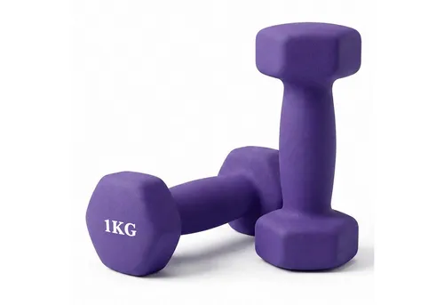 relaxdays Gymnastikhantel Hanteln 2er Set Gusseisen, 1kg