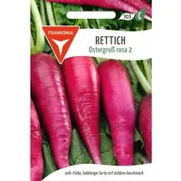 FRANKONIA Rettich Ostergruß Rosa
