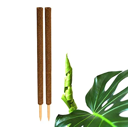 BigDean Ranksäule Kokos Pflanzstab 110 cm Rankstab Rankhilfe Blumenstab Packung, 2 St., 2 Stäbe, Rankhilfe, Monstera Rankhilfe, Pflanzstab aus Kokos, Moosstab