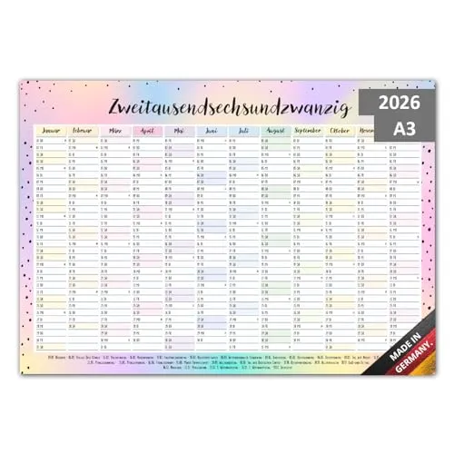 Timr Wandkalender 2026 inkl. 2025 Motiv Bunt - DIN A3 (42 x 29,7 cm) Kalender 2 x 12 Monate I beidseitig I Jahreskalender Pastell-Farben I beidseitig beschreibbar I tr293