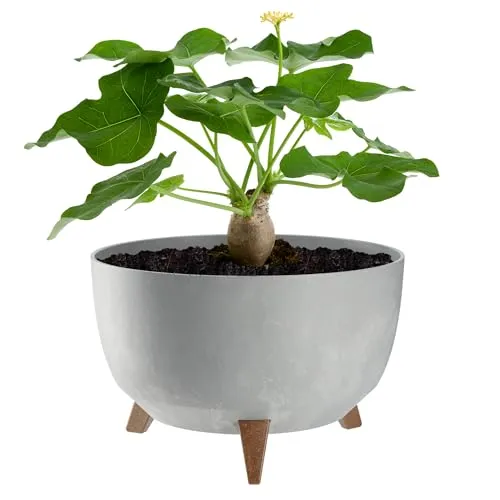 KADAX Blumentopf aus Kunststoff mit DREI Einsteckstützen, runde Blumenschale, Pflanzkübel, Blumenkübel, Pflanzschale für Balkon, Wohnzimmer (Grau, ⌀ 32,7 cm)