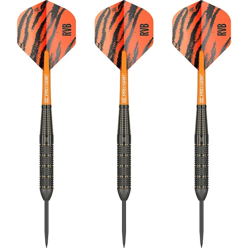 Target Raymond Van Barneveld RVB Brass - Steeldarts 22 Gramm