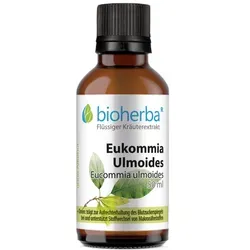Eukommia Ulmoides Tropfen Tinktur 50 ml
