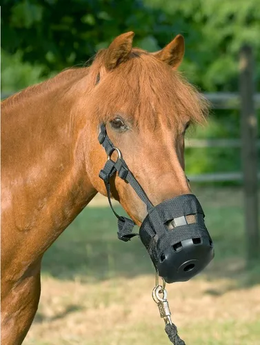 Fressbremse in schwarz von USG