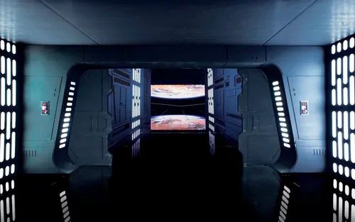 Komar Tapeten von Komar