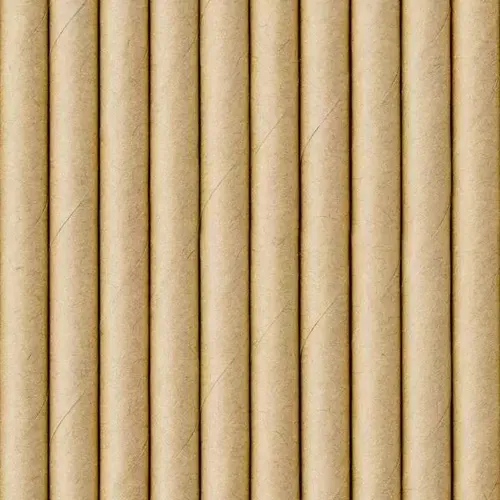 Słomki papierowe, kraft 19.5cm 10szt PartyDeco 5900779119130