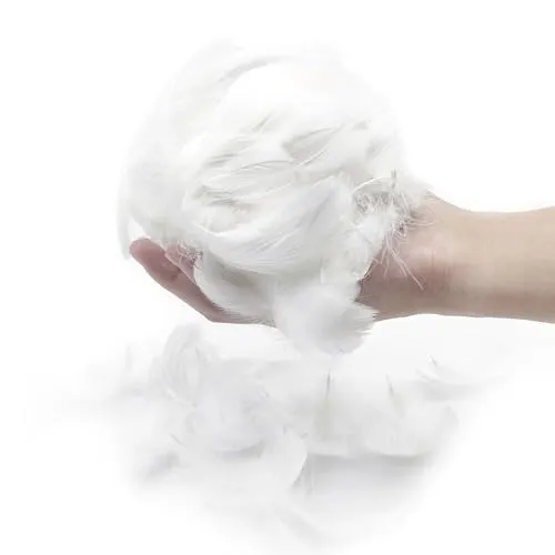 EUPSIIU 300 Stück Federn zum Basteln Weiß Deko Federn Flaumfedern Federn Schmuckfedern Vogelfedern Bastelfedern Natur für DIY Basteln Dekoration Ostern Weihnachten Kopfschmucksfedern (Weiß)