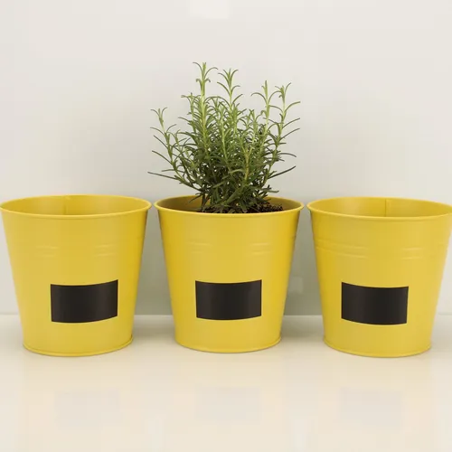 Blumentöpfe & Pflanzgefäße Gelb von Online Fuchs