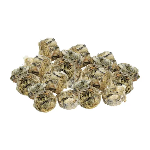 Dorsch- Taler von Schecker GmbH