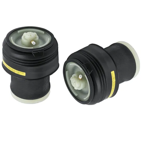 Paar Luftfederung Hinten für BMW X5 E70/X6 E71/E72 von ATEC