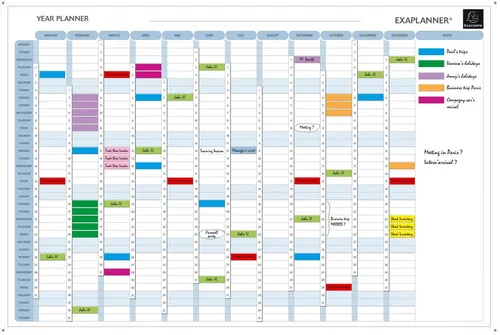 Exacompta 56153E Jahresplaner 60x90 Magneth. - Englisch - Organizer für effiziente Planung, mit magnetischer Oberfläche für einfache Notizen und Anpassungen, ideal für Büros und Zuhause.