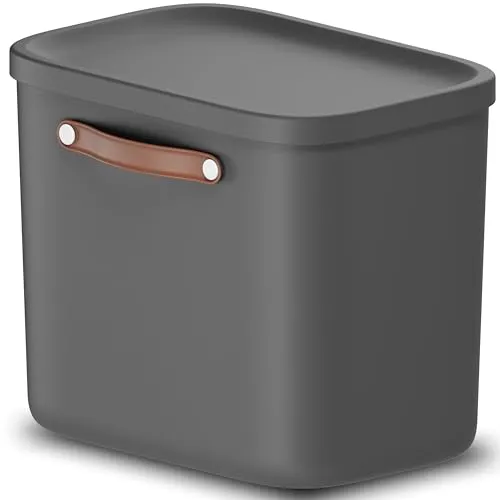 Rotho Maloja Aufbewahrungsbox 25 l, Kunststoff, anthrazit, 25 (39.5 x 26.5 x 34.0 cm)