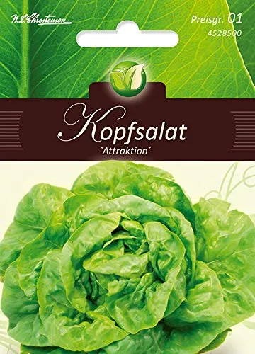 Kopfsalat, Attraktion