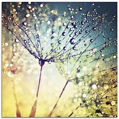 ARTland Wanddeko Glasbilder Wandbild Glas Bild einteilig Quadratisch Natur Zauber Idyll Mikro Makro Pusteblume Blumen Wasser Tropfen Tau S9MI