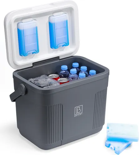 Brisby Kühlbox – Frigobox – 22 l – Grau – Bis zu 40 Stunden Isolierung – Inkl. 4 dicker 450-ml-Kühlelemente – Temperatursicherer Verschluss – Neues Design mit im Deckel integrierten Kühlelementen