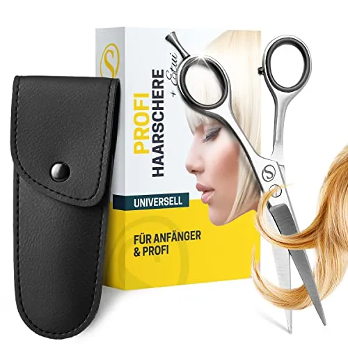 SCHMIEDWERK Haarschere | Friseurschere - scharfer & präziser Schnitt | Perfekter Haarschnitt für Damen & Herren | Profi Haarschneideschere mit Etui (Silber)