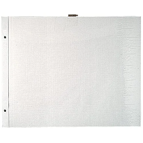 Exacompta 16812E 10er Pack Einlagen für Fotoalben mit Schraubbindung im Format 29 x 37cm, weiß