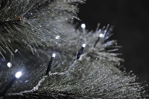 Konstsmide Micro LED kompakt System Erweiterung: 100 kalt weiße Dioden für stimmungsvolle Weihnachtsbeleuchtung