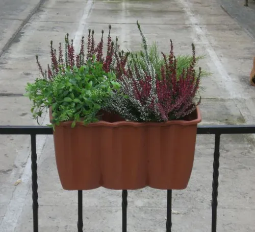 Balkonkasten, Blumenkasten, Geländekasten, Pflanzkasten, Blumentopf