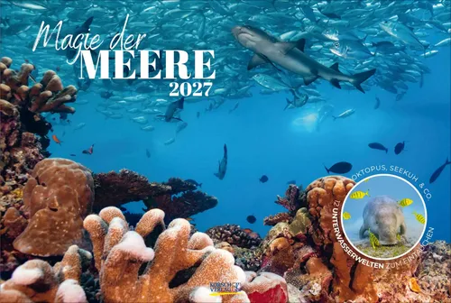 Verlag Korsch | Magie der Meere 2027 | Wandkalender - Erleben Sie mit diesem 14-seitigen Wandkalender die faszinierende Unterwasserwelt. Ideal für Reisende und Meeresliebhaber. Spiralbindung für einfache Handhabung.