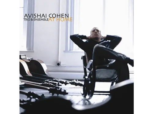 Produktbild Avishai Cohen - At Home - (Vinyl)