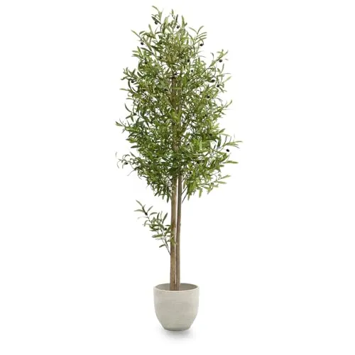Produktbild Maia Shop | Olivenbaum Künstlich | Kunstpflanzen | Künstlicher Baum | Maße: 180 x 60 cm | Kunstpflanze Groß | Fake Plant | Plastik Pflanze | Deko | Deko Wohnzimmer