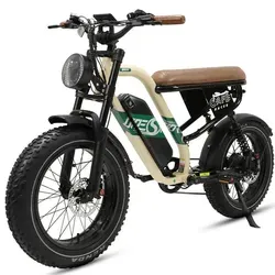 E-Bike Trekkingrad W66 Herren Elektrofahrrad 648Wh von Vankel