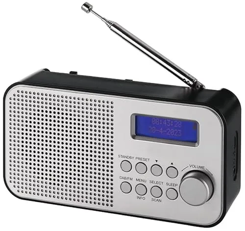 NEWTRO Tragbares DAB/FM-Radio mit Akku