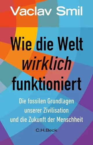 Wie die Welt wirklich funktioniert: Die fossilen Grundlagen unserer Zivilisation und die Zukunft der Menschheit - Umweltwissenschaft: Entdecken Sie die tiefgreifenden Zusammenhänge zwischen fossilen Brennstoffen und unserer Zivilisation – ein aufschlussreiches Buch für nachhaltige Zukunftsfragen.