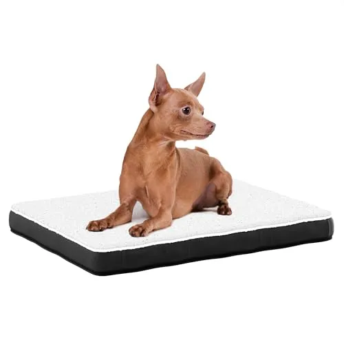 Avalo Orthopädisches Hundebett S - 45x65 cm - Waschbar/Memory Foam/Anti-Rutsch - Orthopädisches Hundekissen
