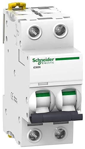 iC60N 2P 25A D Schalter von Schneider Electric