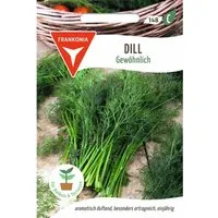 FRANKONIA Dill Gewöhnlich