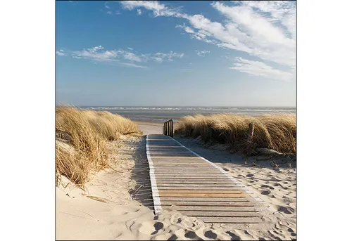 Papierservietten Beige von Ambiente