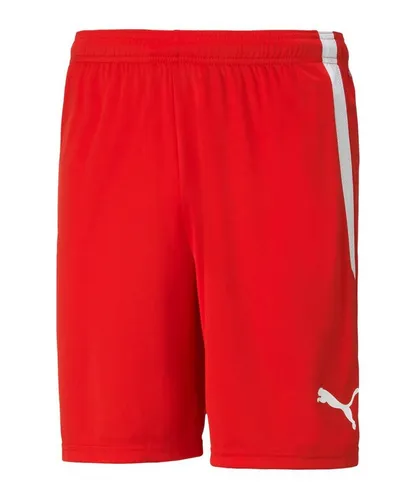 PUMA Sporthose PUMA teamLIGA Short Shorts Herren