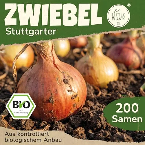 Saatgut von Little Plants