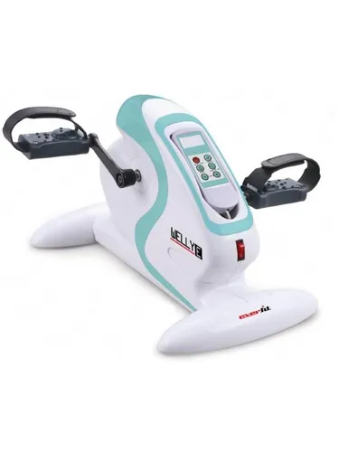 Everfit Mini Bike WELLY E