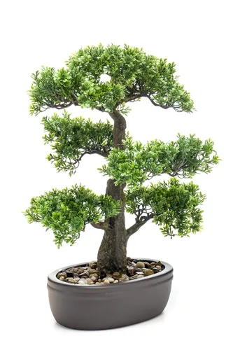Künstlicher Ficus Bonsai im Keramik Topf – H. 43cm - Blumen & Künstliche Pflanzen – Pflegeleichte, immergrüne Zimmerpflanze in elegantem Keramiktopf, ideal für jedes Zuhause oder Büro.