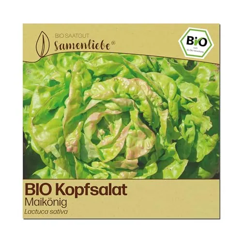 Samenliebe BIO Kopfsalat Samen | Salat Maikönig in grün von Samenliebe