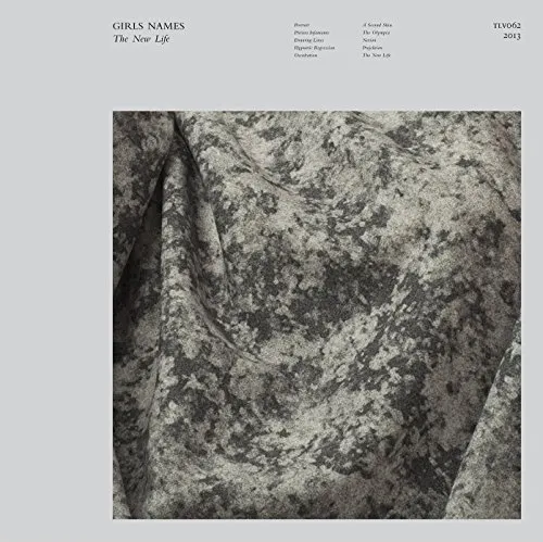 The New Life [Vinyl LP]